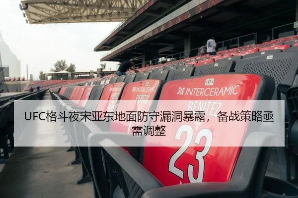 UFC格斗夜宋亚东地面防守漏洞暴露，备战策略亟需调整
